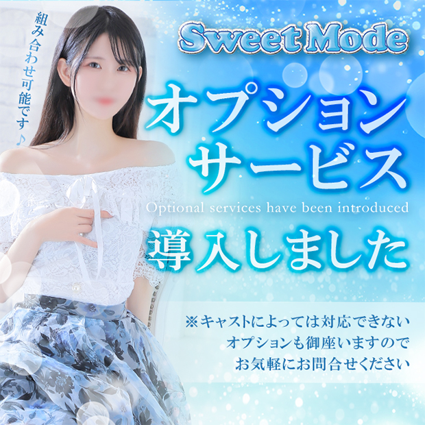 オプションサービス導入しました
